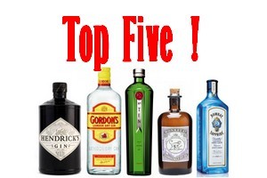 gin top 5