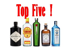 gin top 5